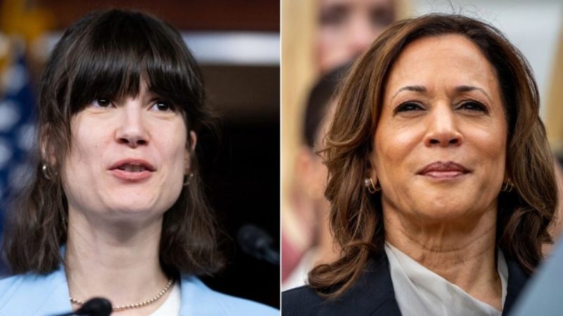 Vulnerable House Dem’s campaign makes stunning admission on potential Harris endorsement: ‘Clear statement’
