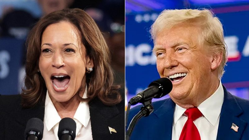 Fox News Poll: Trump ahead of Harris by 2 points nationally