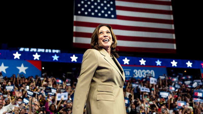 Kamala Harris should prosecute Big Pharma, not bail it out