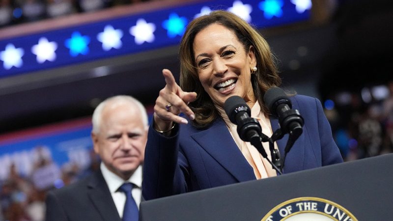 Harris campaign plagued by surrogates’ gaffes: ‘Colossally inept campaign’