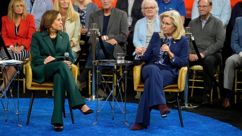 Liz Cheney predicts ‘millions of Republicans’ will vote for Harris: ‘Vote your conscience’