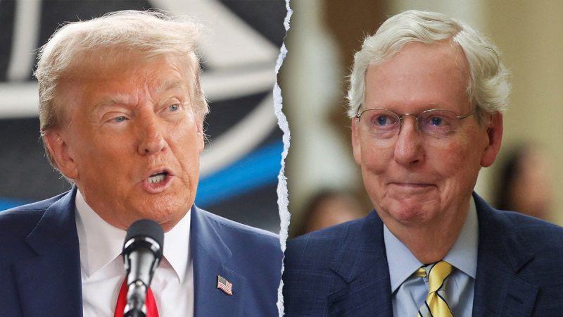 ‘Sleazeball’: McConnell’s 2020 thoughts on Trump revealed in new book