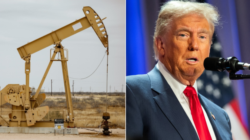 Expert touts Trump’s energy sector nominations, outlines hopes for administration agenda to spark energy boom