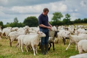 Think tank calls for delay in farm inheritance tax to ensure fairness