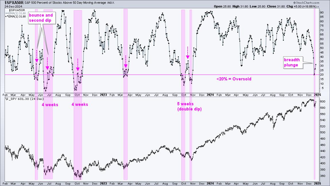 Is this Bounce a Robust Rebound or a Dead-Cat Bounce?