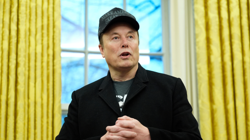 ‘Overwhelmingly popular’: Elon Musk touts Americans’ DOGE support