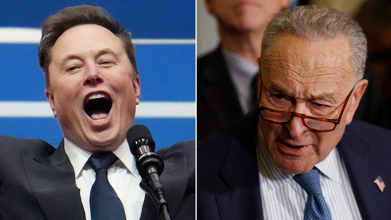 Elon Musk dunks on Sen. Chuck Schumer, declaring ‘Hysterical reactions’ demonstrate DOGE’s importance