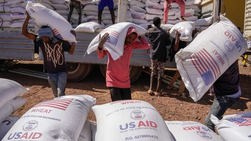 Analysts back Trump’s USAID cuts in Africa, say increased trade will better benefit continent’s poor