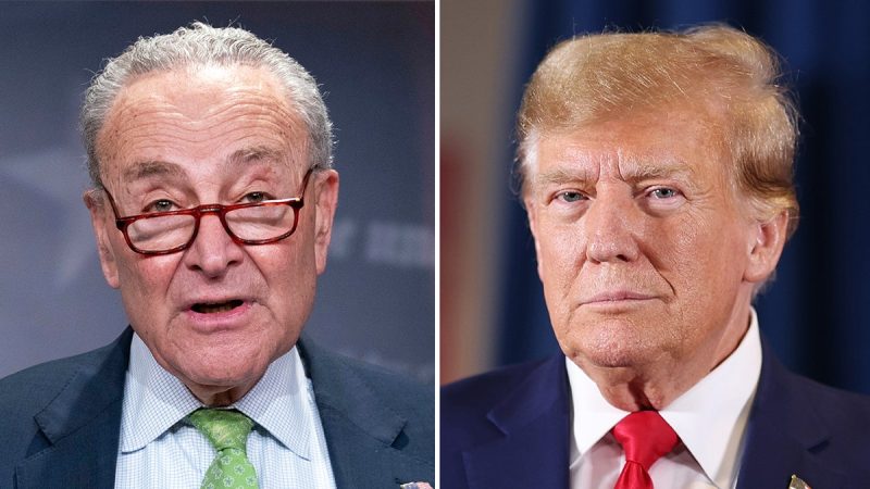 Chuck Schumer will vote to keep government open: ‘For Donald Trump, a shutdown would be a gift’