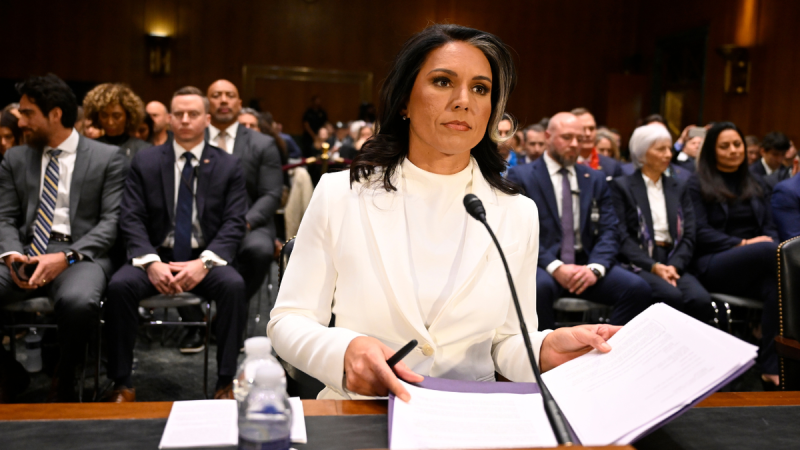 Tulsi Gabbard’s warning to Senate on Syria proves prophetic as Al Qaeda-linked regime slaughters minorities