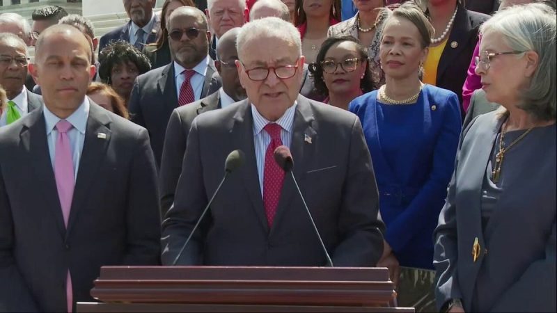 The ‘F-word’: Schumer says Trump’s first 100 days can be distilled to single utterance