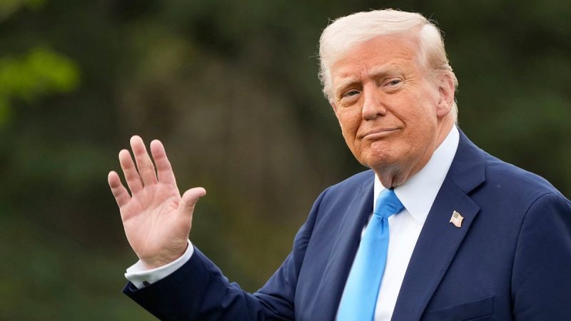 House Democrat moves to force Trump impeachment vote