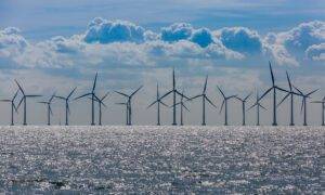 Ørsted shelves major UK offshore windfarm project in blow to green energy goals