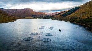 Salmon Scotland urges further talks to scrap 10% US tariff after UK-US trade deal