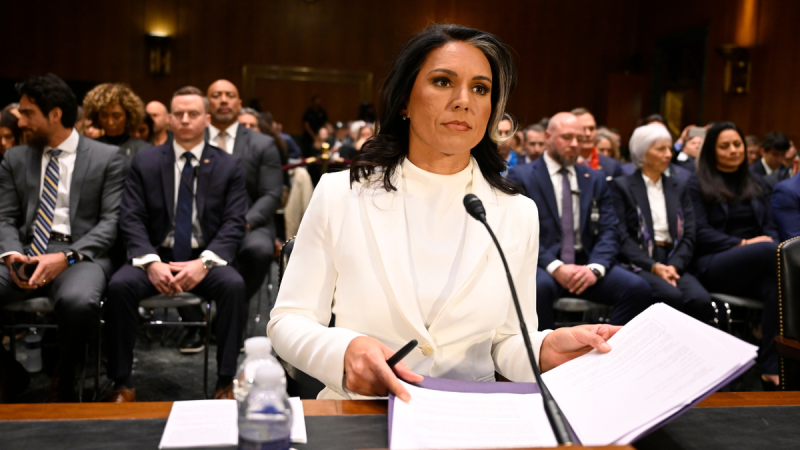 Gabbard fires ‘deep state’ heads of National Intelligence Council to root out ‘politicization of intel’