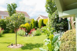 Why More Homeowners Are Investing in Their Gardens and What Businesses Can Learn from It