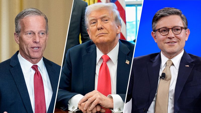 FLASHBACK: Musk accused Trump, GOP leaders of not wanting to cut spending — here’s where they said they would
