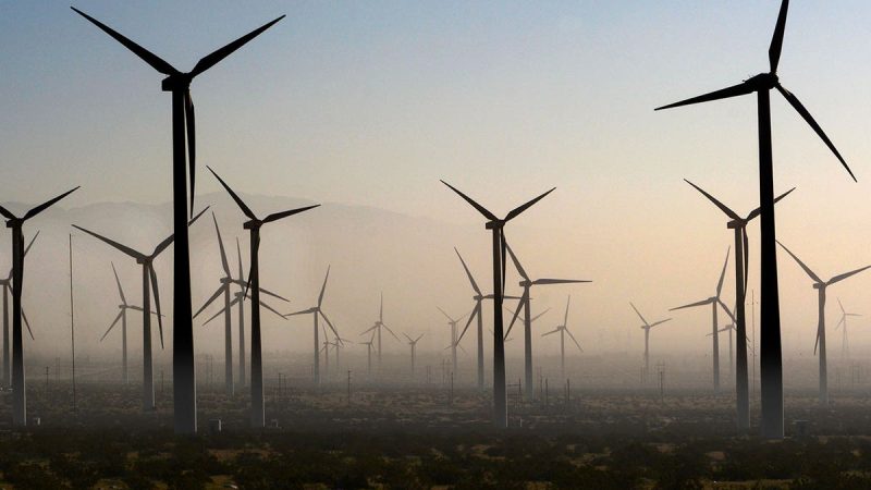 Gargantuan ‘bird cemeteries’ in Burgum’s crosshairs as DOI looks to curb green wind projects