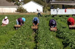 Immigrants in Europe and North America earn nearly 18% less than natives, study reveals