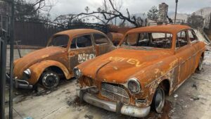 From Altadena to Westminster: climate denial is a luxury we can’t afford