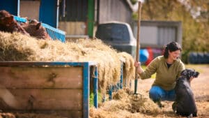 Barclays launches new finance facility to help farmers transition to sustainable practices