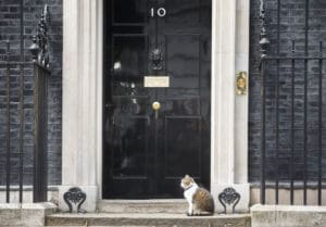 Reeves’ Budget: is Larry’s cat food the last refuge?