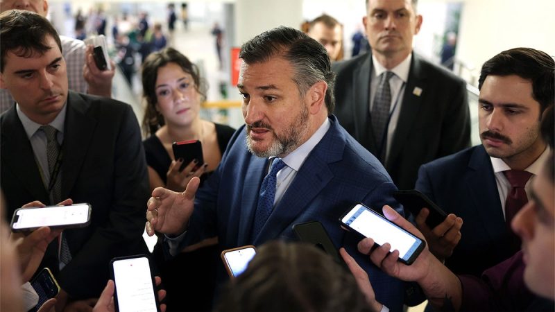Cruz ‘cannot support’ Trump’s Kuwait ambassador pick over Muslim Brotherhood remarks Cruz ‘cannot support’ Trump’s Kuwait ambassador pick over Muslim Brotherhood remarks