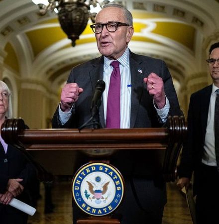 Schumer again blocks GOP bid to reopen government as air traffic controllers go unpaid