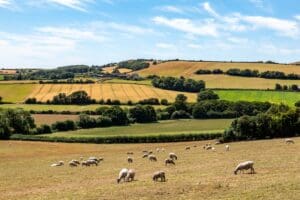 Larry Ellison Backs Oxford spinout Wild Bio in £45M round
