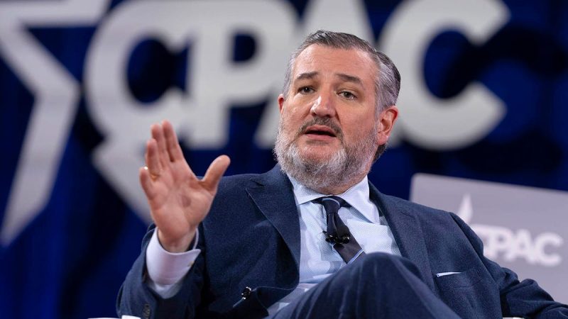 FLASHBACK: Ted Cruz predicts ballooning Obamacare subsidies now at center of shutdown fight