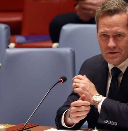 UN Security Council backs Trump’s Gaza peace plan after Waltz calls territory ‘hell on earth’