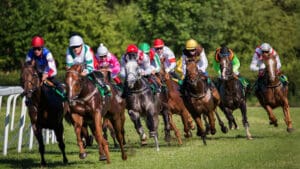 Horse-racing industry faces £10m blow from business rates overhaul