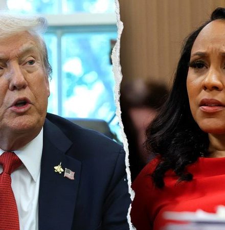 MIKE DAVIS: After Trump case collapses, time for Fani Willis to lawyer up