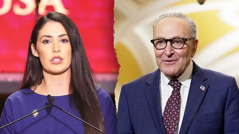 House conservatives threaten extended shutdown over election integrity measure House conservatives threaten extended shutdown over election integrity measure