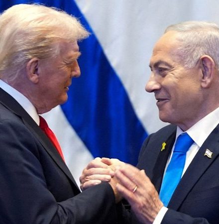 JOSH HAMMER: Case against Israel cheapens the word ‘genocide’