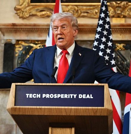 Trump hails ‘great and very brave’ UK soldiers after slamming NATO allies’ Afghanistan service