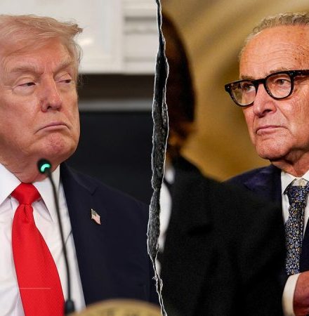 House conservatives warn Trump-Schumer deal undercuts GOP leverage on DHS funding