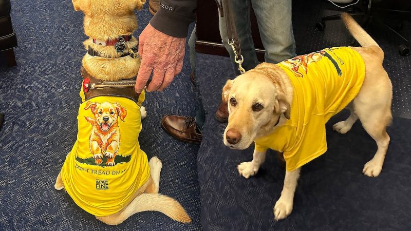 Rep Randy Fine to bring 4-legged guest Sadie to Trump’s State of the Union amid backlash over X post Rep Randy Fine to bring 4-legged guest Sadie to Trump’s State of the Union amid backlash over X post