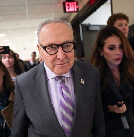 Dems dig in, guarantee shutdown with block of DHS funding