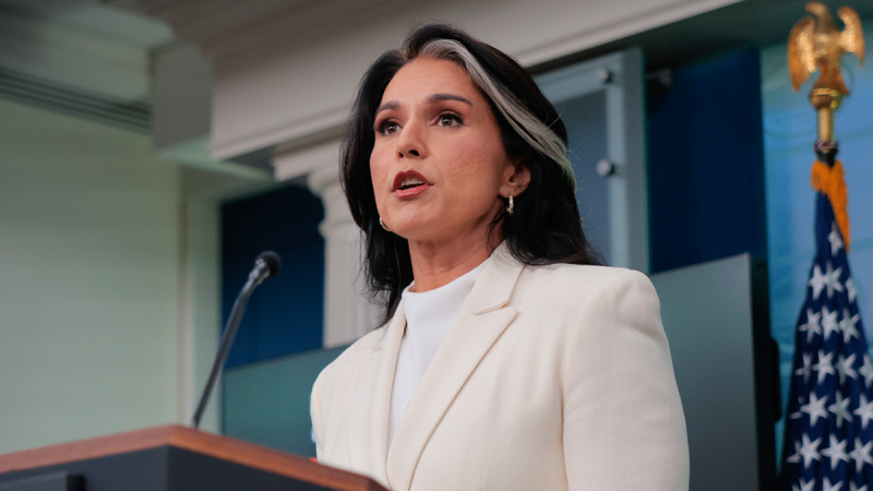 EXCLUSIVE: Gabbard outlines election security assessment, presence at Fulton County search EXCLUSIVE: Gabbard outlines election security assessment, presence at Fulton County search