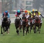 How Major Sporting Events Like Cheltenham Festival Impact The UK Economy