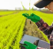 Bindbridge raises $3.8m to fight herbicide resistance with AI-designed crop protection