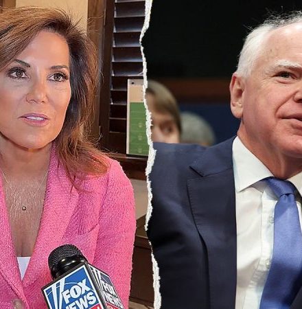 Tafoya rips Walz ‘dodging’ accountability in hearing, unveils plan to fight fraud: ‘Full weight of the law’
